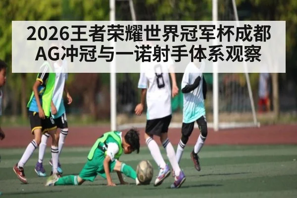2026王者荣耀世界冠军杯成都AG冲冠与一诺射手体系观察 - kaiyun